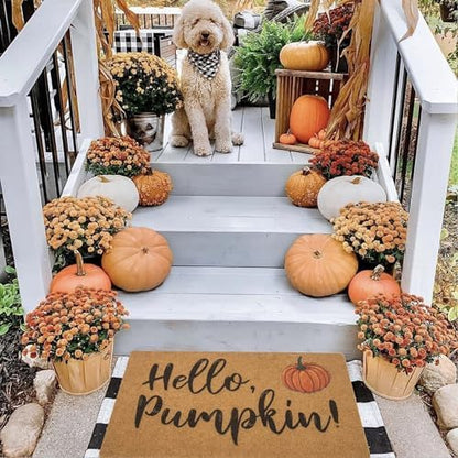 Hello-Pumpkin-Welcome-Doormats-Non-Slip-Fall-Harvest-Festival-Front-Mat - color: Hello Pumpkin