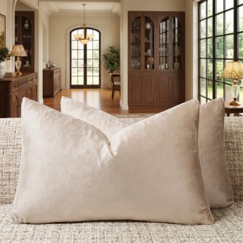 GIGIZAZA Velvet Pillow Covers 12x20 Decorative Pillows Pack of 2 Beige - color: Champagne, size: 20" x 12" (Pack of 2)