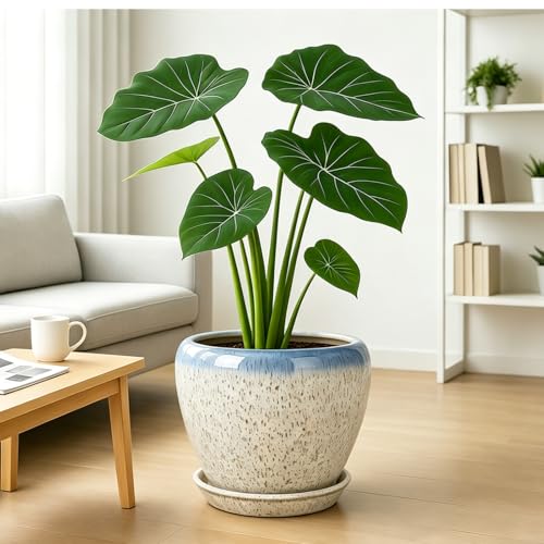 Deep Dream 10 Inch Plant Pot- Ceramic Planter Pot Round Plant Pots for Indoor Plants Outdoor Large Flower Pot with Drainage Holes & Trays, Beige&Blue - color: Beige&blue, size: 10 Inch
