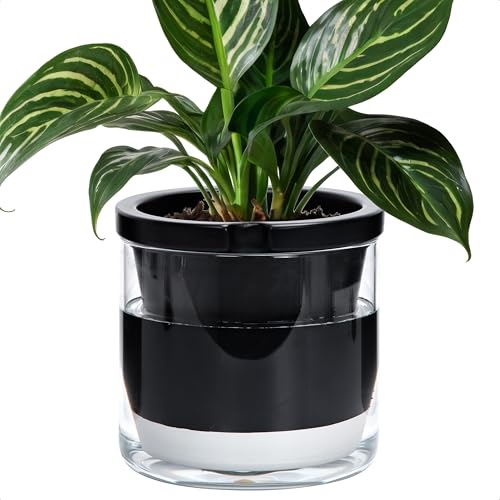 D'vine Dev Self-Watering Black Terracotta Planter Pot, 8 in, 37-X-C-3 - color: Black, size: 8 Inch