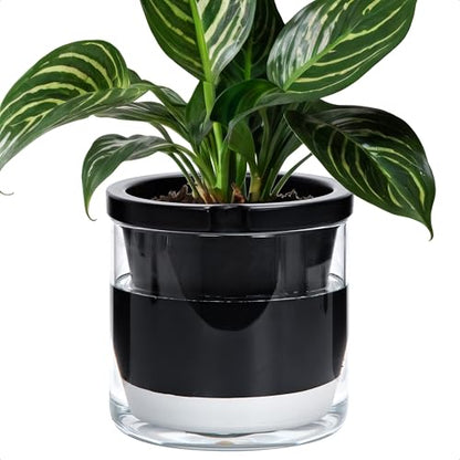 D'vine Dev Self-Watering Black Terracotta Planter Pot, 8 in, 37-X-C-3 - color: Black, size: 8 Inch