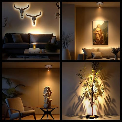 Mini Rechargeable LED Spotlight, spot Lights Indoor,Plant Light - color: White