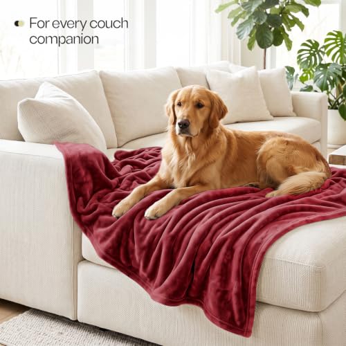 Soft Fleece Blanket for Bed Twin Size Burgundy (60x80 Inch) - color: Burgundy, size: Twin (60x80 Inch)