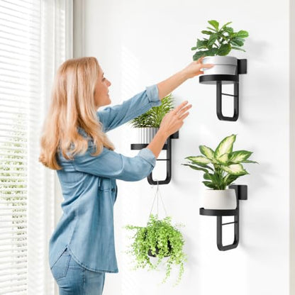 2 Pack Wall Plant Holder for Hanging Planters Indoor Outdoor Black - color: Black-2pcs15cm