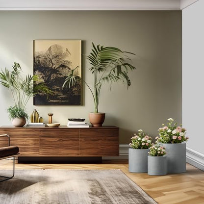Kante Set of 3 Pale Gray Concrete Cylinder Planters 15.8" 12.9" 9.8" Dia - color: Natural Concrete, size: 9.8",12.6",15.7" Dia