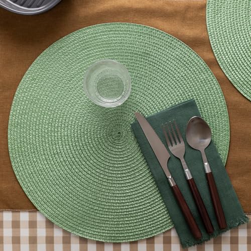 Baroyal Round Placemats Set of 8 Plastic Woven Placemats Washable Wipeable Table Mats for Dining Table Heat Resistant Non-Slip Circle Place Mats (Green) - color: Green
