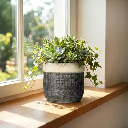 6 Inch Plant Pot, Ceramic Plant Pots, Round Planter, Light Black - color: Light Black, size: 6 Inch