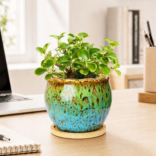 ARTKETTY Succulent Pots, 4 Inch Plant Pots with Drainage Tray - color: 4'' Colorful 1