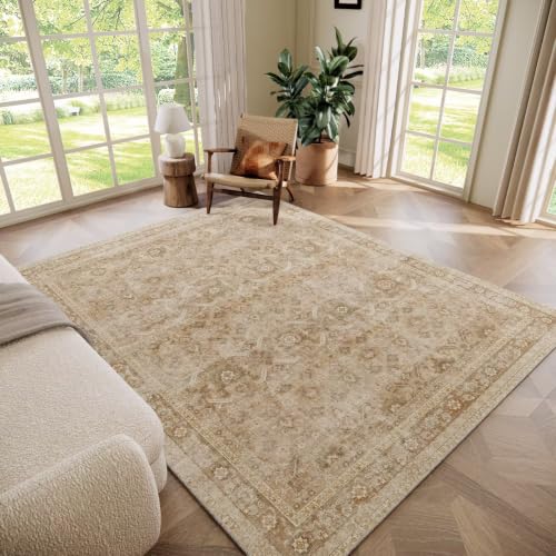 Washable 6x9 Area Rugs for Living Room Bedroom, Brown/Taupe - color: Brown/Taupe, size: 6' x 9' (Rectangular)