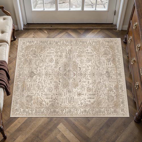 HUGEAR 2x3 Beige Vintage Distressed Washable Area Rug for Entryway - color: C| Beige, size: 2' x 3' (Rectangular)