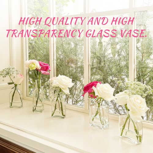 33pcs Glass Small Bud Vases Set - 9 Styles Clear Bud Vase - color: Clear Set of 33
