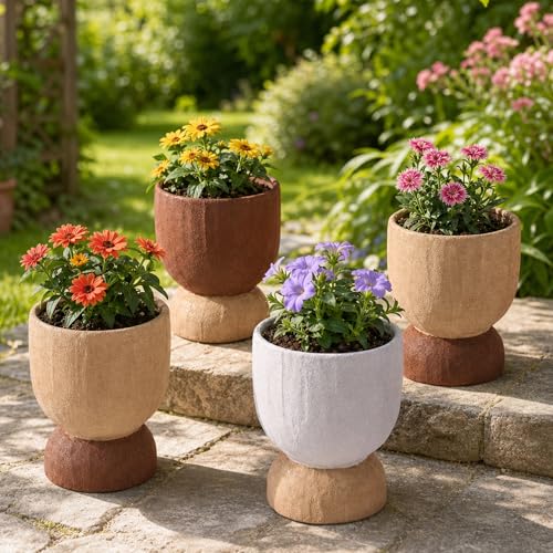 DREAMLOOM 6.4Inch Coarse-Grained Terracotta Pots for Succulents, 2Pcs Flower Planters with Drainage Holes, Bonsai, Cactus Aloe, Herbs, Orchid, Rustic Color - color: Two-tone
