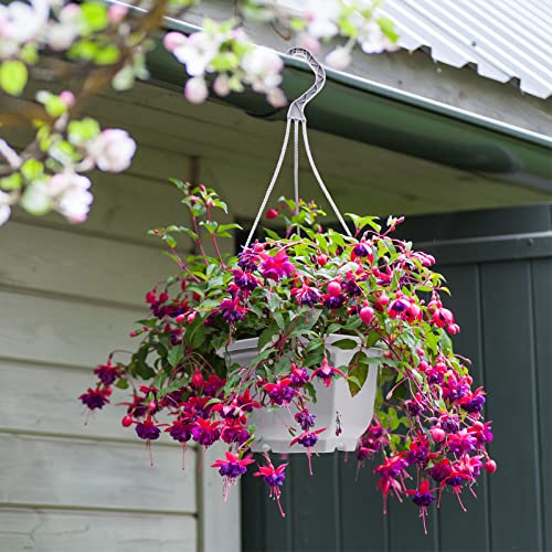 Roshtia 24 Pcs Hanging Planter Pot with Hook, Ceramic White, 6.7 Inch - color: Ceramic White, size: 6.7 Inch