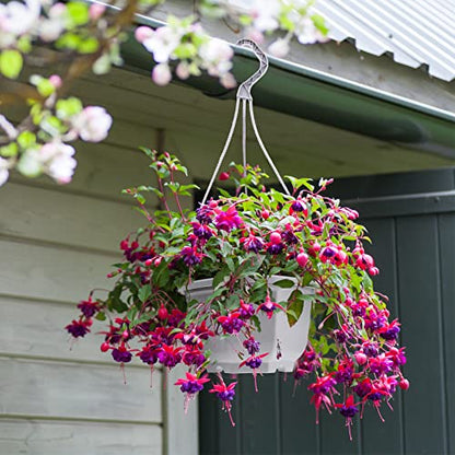 Roshtia 24 Pcs Hanging Planter Pot with Hook, Ceramic White, 6.7 Inch - color: Ceramic White, size: 6.7 Inch