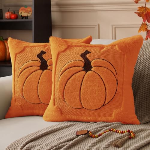 Allorry Fall Pillow Covers 16x16 2 Pack Orange Pumpkin Home Decor PT010B16 - color: Orange Embroidery, size: 16" x 16" (Pack of 2)