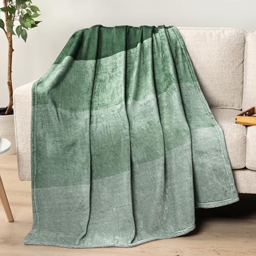 PAVILIA Green Ombre Fleece Throw Blanket for Couch Sofa Bed, 50x60 - color: Gradient - Green, size: 50 x 60 Inches - Throw