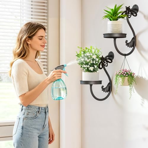 Metal Wall Plant Holder 2Pcs Indoor Outdoor Wall Flower Shelf - color: Black-Bees-2Pcs