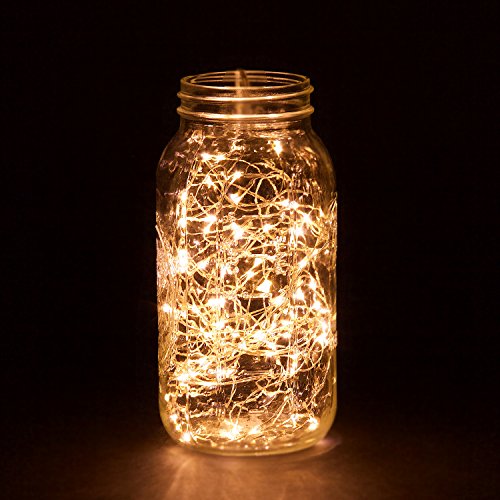 100 LED String Lights, 32 Feet, Silver Wire, Warm White, Plug-in, Indoor-Outdoor, 5V DC Transformer - color: Warm White