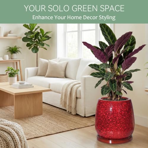 10.3 Inch Ceramic Glaze Plant Pot with Saucer, Flower Pots with Drainage Hole Mesh Net (Spot Red) - color: Spot Red
