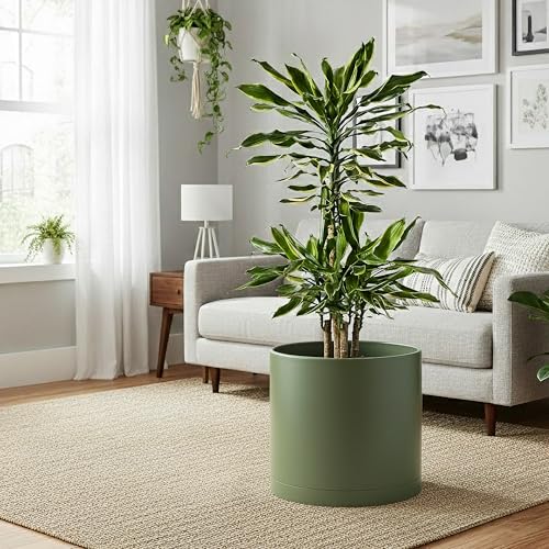 D'vine Dev Plastic Planter Pot with Saucer, 12 in, Olive, 74-X-I-3 - color: Olive, size: 12 Inch