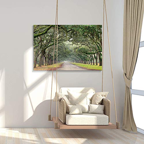 Hardy Gallery Tree Tunnel Canvas Wall Art Oak Landscape 36x24 Inch - color: Path in Oak Trees, size: 36"L x 24"W