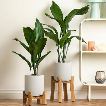 Giraffe Creation 12 Inch Cylinder Plant Pot, Modern Round Planter with Drainage Holes and Saucer, Durable Plastic Flower Pot for Indoor Outdoor Plants, White - color: White 12 Inch