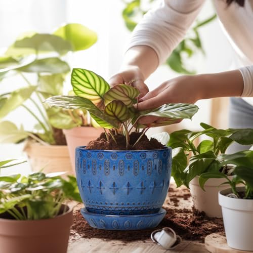 G EPGardening Plant Pot 5 Inch, Ceramic Planter for Indoor Plants, Blue - color: Columnar Blue