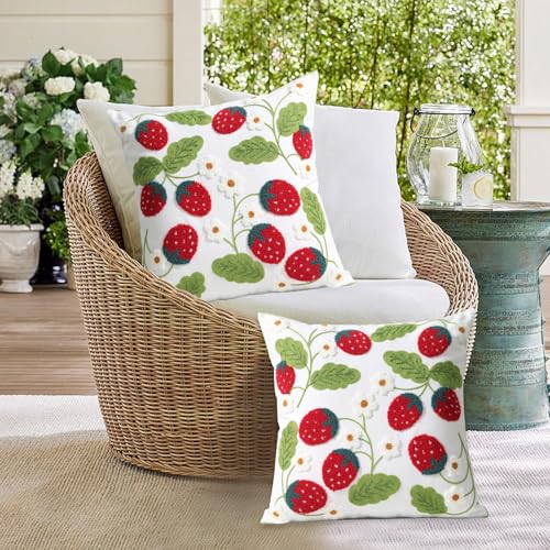 Pack of 2 Embroidered Throw Pillows Cover 18x18 Inch Decorative Pillowcase for Living Room Sofa Bed (Red Strawberry) - color: Red Strawberry