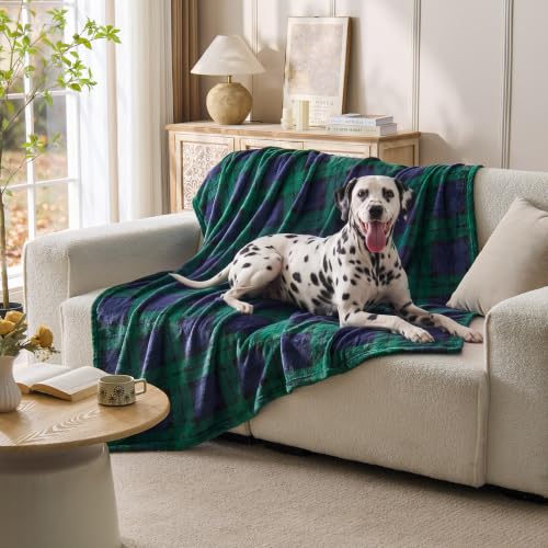 BEDELITE Christmas Fleece Throw Blanket for Couch & Bed, Blue & Green - color: Blue&green Tartan, size: Throw(50"x60")
