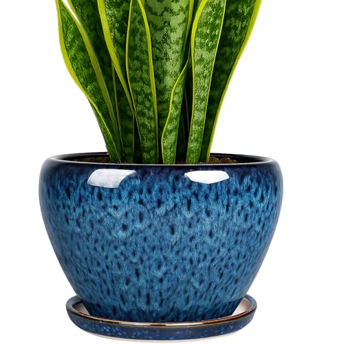 Deep Dream 8 Inch Plant Pots- Ceramic Pots for Plants with Drainage Hole and Saucer, Large Planter Pot for Indoor Plants Outdoor Decor, Blue - color: Blue, size: 8 Inch