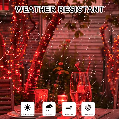Red Fairy Lights Battery Operated (Included), 8 Modes & Auto Timer, 16FT 50Led Mini Twinkle Silver Wire Firefly Starry Lights, Waterproof Battery Operated Lights for Mason Jars Party Bedroom - color: Red, size: 1 Pack - Batteries Included