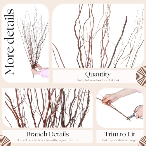 Thiccywoov 12 Pcs Real Dried Willow Branches 38 Inches Natural Curly - color: Natural, size: 38 Inches