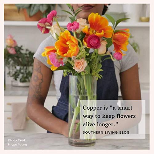 Flower Food Alternative for Fresh Cut Flowers | Copper Charm Keeps Flower Water Clean and Clear | Just Place It in The Vase, Reusable (2 Pack) - color: Heart, size: Pack of 2