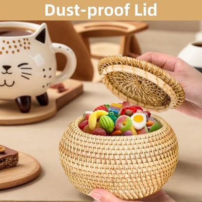 WRINGKIT Small Rattan Basket Box with Lid, Handmade Woven