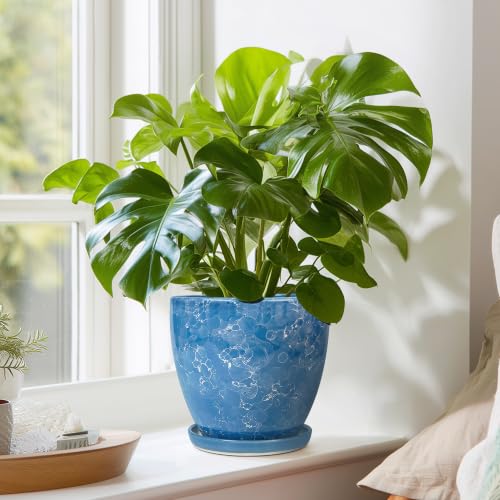 6 Inch Ceramic Plant Pot - Ceramic Planters Indoor, Blue - color: Sky Blue, size: 6 Inch
