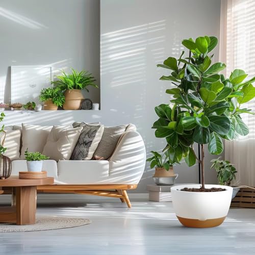 Koalaime 8/10/12 Inch Pots for Indoor Plants, Large Self Watering Planters with Drainage and Saucers, Plastic Outdoor Flower Pot, Set of 3, White - color: White