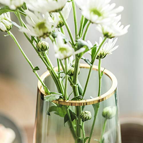 Green Glass Flower Vase with Gold Mouth for Centerpieces Home Wedding Decoration (1, Small) - size: Small