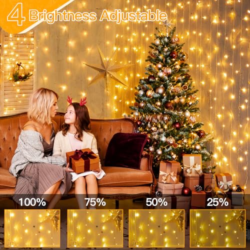 Ollny Curtain Lights 9.8ftx9.8ft, 300LED Fairy Light with Remote Warm White - color: Warm White, size: 300 LED