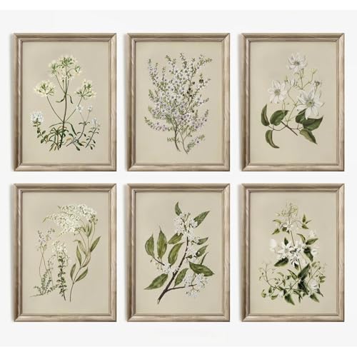 Vintage Botanical Wall Art Set of 6 Neutral Floral Canvas Wall Decor Wildflower Wall Art Watercolor Flower Prints Botanical Poster Minimalist Plant Pictures for Bedroom Living Room 8x10 Inch Unframed - color: Neutral Floral Prints, size: 8x10 Inch Unframe