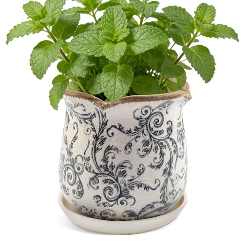 Ceramic-Planters-for-Indoor-Plants with Saucer, 6 inch Vintage Ice Crackle Glaze Plant Pots with Drainage Holes, Decorative Flower Pots for Outdoor Garden Home Decor, Tuscan Pot for Plant - color: Gray Swirl