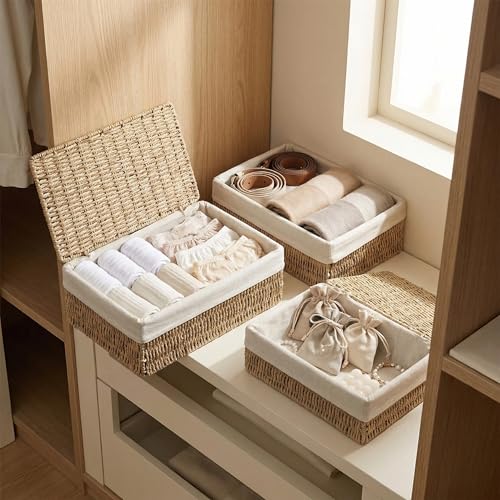Large Storage Baskets with Lid Set of 3, Woven Bins with Liner - size: Large with Lids