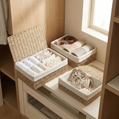 Large Storage Baskets with Lid Set of 3, Woven Bins with Liner - size: Large with Lids