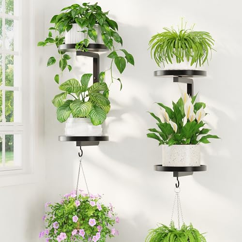 LASZOLA Plant Hanger Holder Window Shelf Wall Mounted Indoor, 2 Pcs Black - color: Dark Black, size: 2