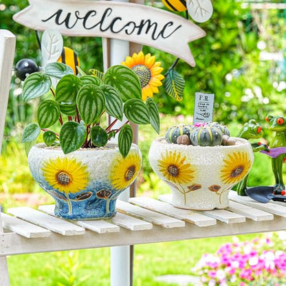 Sungmor 4in Ceramic Succulent Planters Style-e (Dia.: 6.9inch & H: 4.3inch) - color: Style-e (Dia.: 6.9inch & H: 4.3inch)