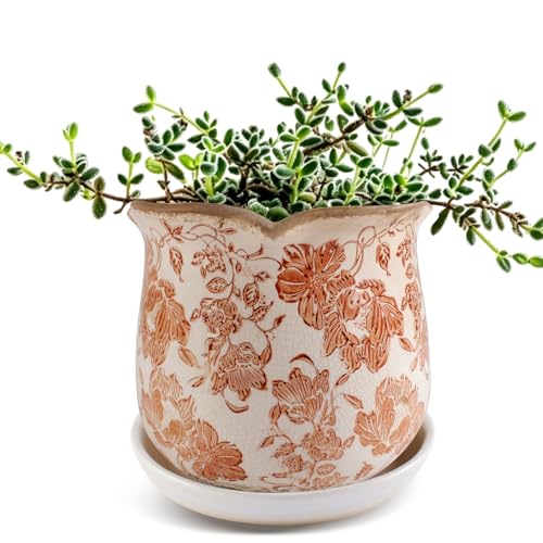 Ceramic-Planters-for-Indoor-Plants with Saucer, 6 inch Vintage Ice Crackle Glaze Plant Pots with Drainage Holes, Decorative Flower Pots for Outdoor Garden Home Decor, Tuscan Pot for Plant - color: Red