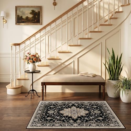 RELEANY Washable Area Rug, Small 2'6"x4', Black/Neutral - color: Black/Neutral, size: 2'6" x 4' (Rectangular)