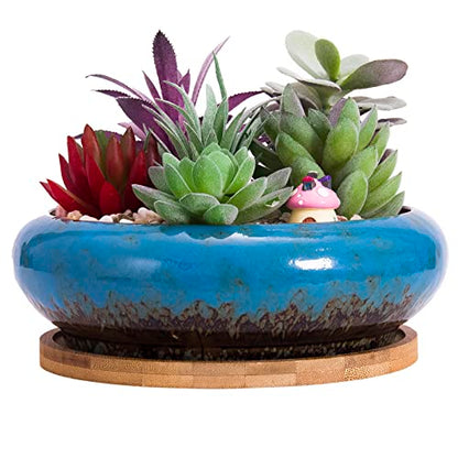 Succulent Pots, 7.3'' Ceramic Bonsai Pot with Tray, Large Succulent Planter - color: Blue