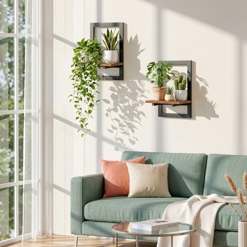 Housolution 2 Pack Wall Plant Holder, Picture Frame Design Plant Shelf