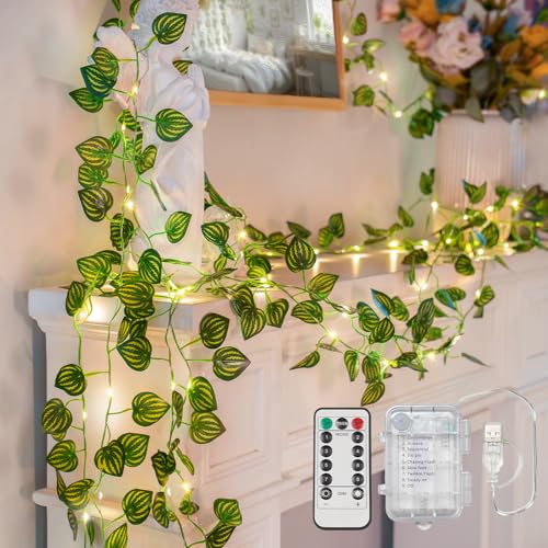 suddus 33FT Watermelon Vines with Lights Battery&USB Powered Copper Wire - color: Watermelon, size: 100 LED-Battery
