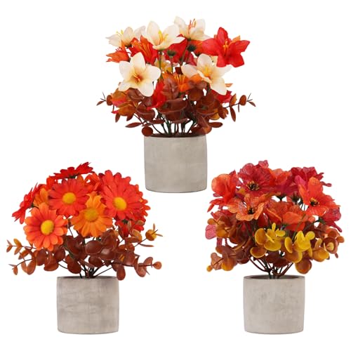 3 Pack Fall Decor for Thanksgiving Autumn Home Fireplace Holiday Decor